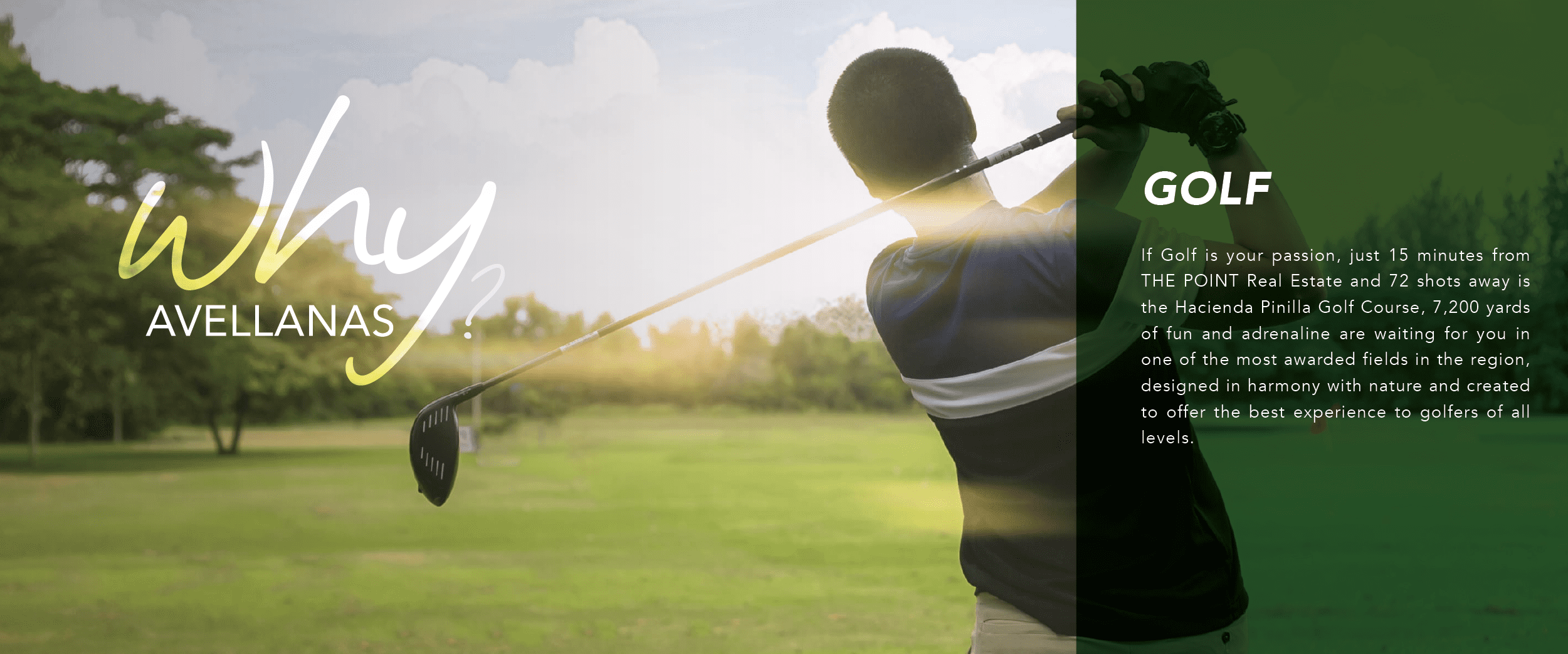 the-point-avellanas-sports-07