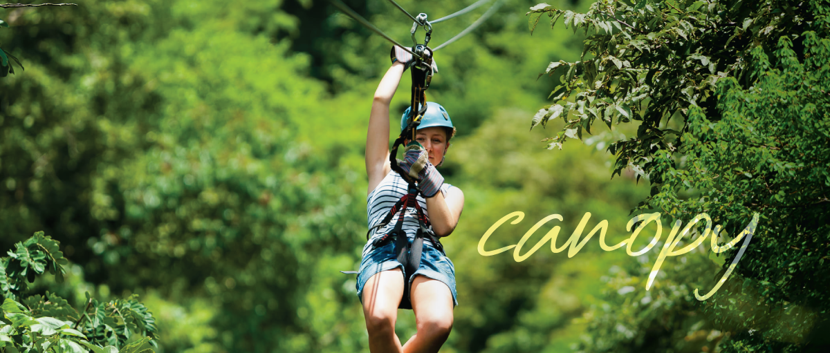 Less than 30 minutes from Avellanas, you can find one of the most popular canopy centers in the country. Hidden among leafy tropical tree tops, you will have the opportunity to feel the adrenaline as you fly among trees and discover a whole new world in the heights of the tropical forest.