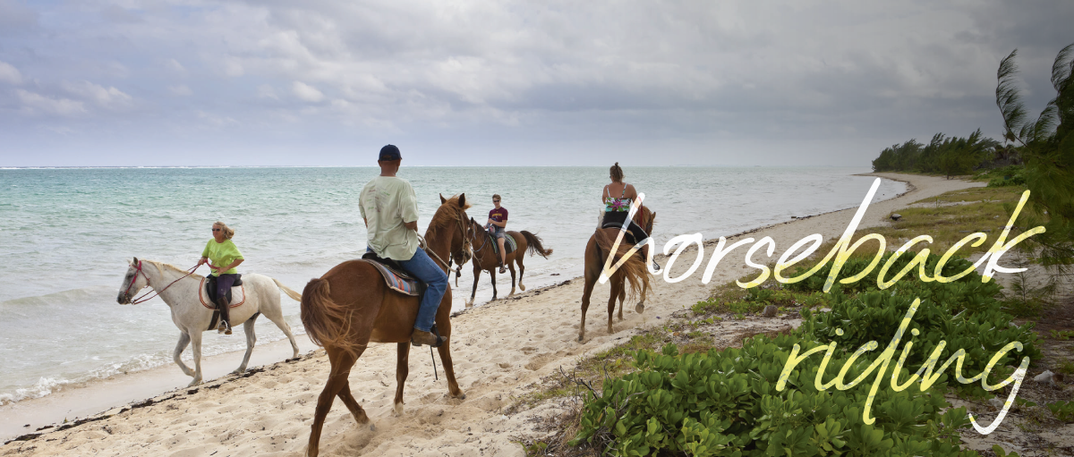 There is nothing like experiencing the Pacific coast to the rhythm of horses galloping. In Avellanas, you will have the great opportunity to book private riding tours for you, your family and friends, as there is no age limit to ride.