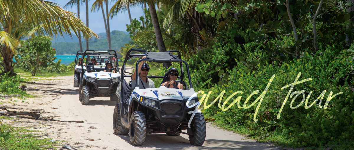 If the passion for off-road and adrenaline is your thing, you can also book ATV tours, where you can enjoy scenic journeys while going through challenging routes and trails, specially designed to have the most fun you will ever have.