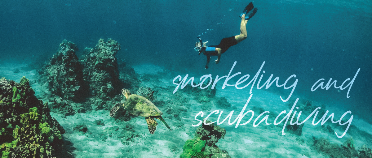 The Pacific coast of Costa Rica is excellent to dive and discover the marine life under the oceanic limit. A few minutes from THE POINT, multiple packages and boat trips are offered to practice scuba diving and snorkeling where you and your family can dive down to 70 feet deep!