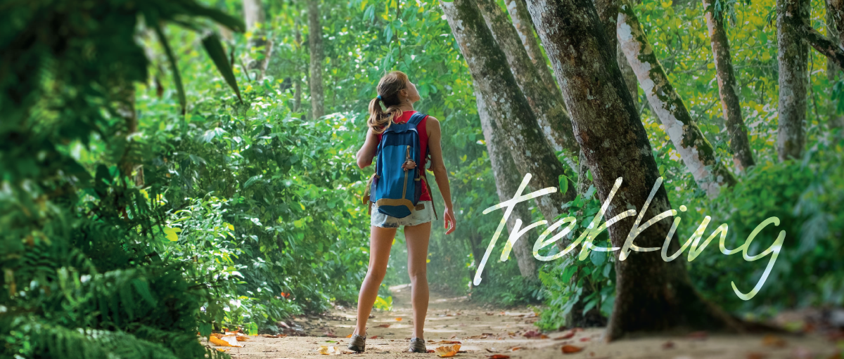 If the outdoor activities seem a bit challenging, close to your vacation home at THE POINT Real Estate you can find all kinds of paths and trails, some designated and others completely natural, on which you can explore parts of the tropical forest and estuaries or discover secret places in between beaches.